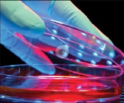 1652193740335 B 0211 News2 1652193740335 B 0211 News2