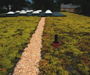 1652193747668 B 0211 News Greenb