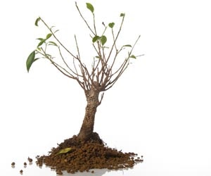 1652193791041 B 0211 News Wifi