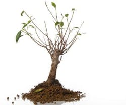 1652193791041 B 0211 News Wifi 1652193791041 B 0211 News Wifi