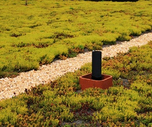 1652193948701 B 0111 Atm Greenroofs