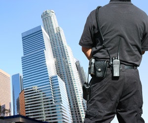 1652195167195 B 0310 Sn Securityguard