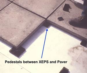 1652195190719 B 0310 Rn Protectedvegetated1