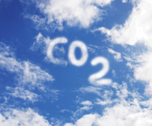 1652195338769 B 0210 Sustainability