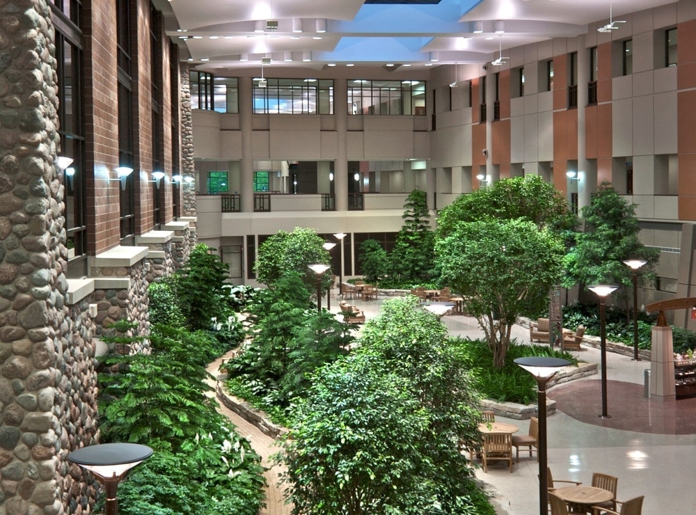 1652285814017 Planterra Indoor Lighting Plants