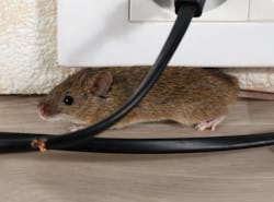 1652286098452 Pest Control 1652286098452 Pest Control