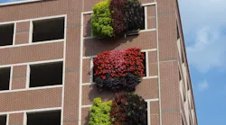 LiveWall1