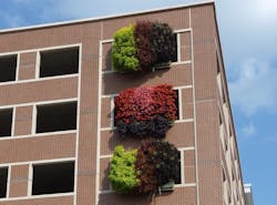 1652286968165 Livewall1 1652286968165 Livewall1