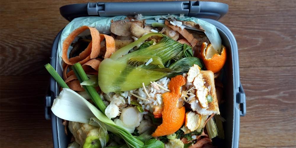 1652287493348 Compost