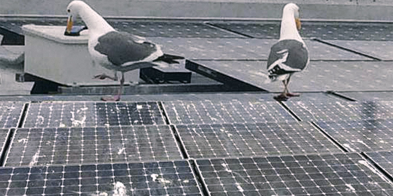 1652287855000 B 1117 Tem Photovoltaic