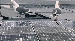 B_1117_TEM_Photovoltaic