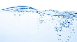 B_1114_Newsfeed_Water