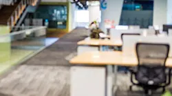 B_0416_Buzz_office1