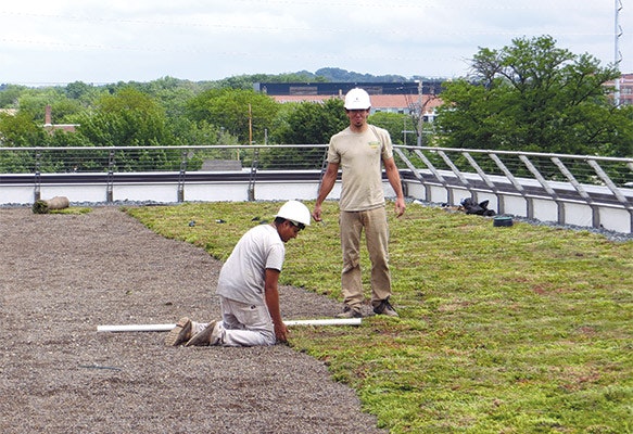 1652287994267 Greenroof5