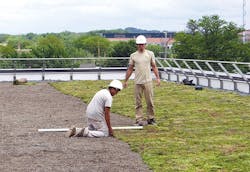 1652287994267 Greenroof5 1652287994267 Greenroof5