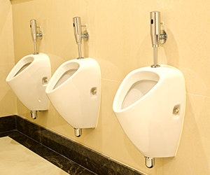 1652288049529 B 0715 Buzz Toilet