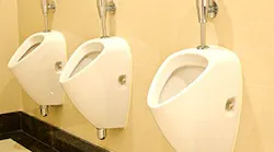B_0715_Buzz_toilet