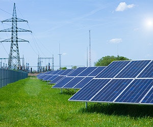 1652288330353 Shutterstock 171502595