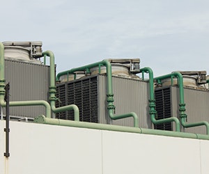 1652288518045 B 1015 Buzz Greenpipe