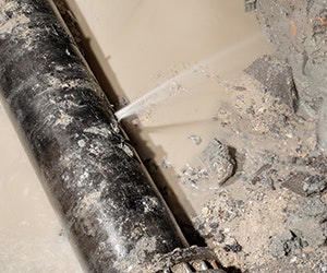 1652288545968 B 0915 Buzz Waterpipe