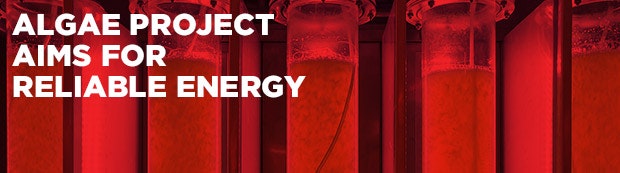 1652288626731 Fss 0313 Leaderstory Algae