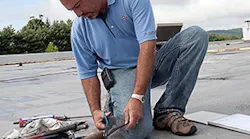 B_0814_Buzz_Roofer