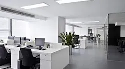 B_1015_Buzz_office