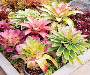 1652288801955 Shutterstock 413593549