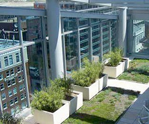 1652288898141 B 0914 Buzz Planters