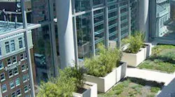 B_0914_Buzz_Planters