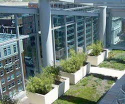 1652288898141 B 0914 Buzz Planters 1652288898141 B 0914 Buzz Planters