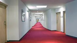 B_0715_Buzz_hall
