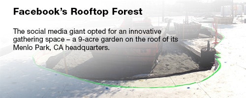 1652313095190 Rr 0706 Lead Story Rooftop2