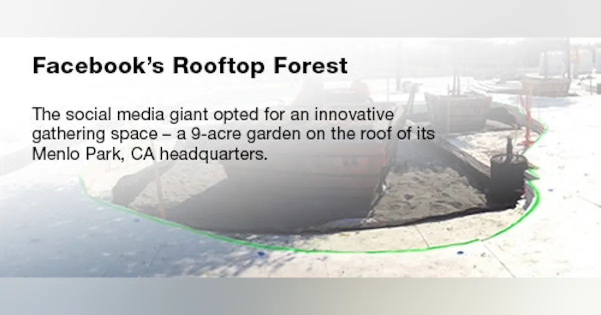 Facebook Rooftop Building Facebook's Rooftop Forest | Buildings