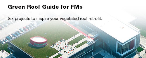 1652313128883 Fss 0606 Leadstory Greenroofs