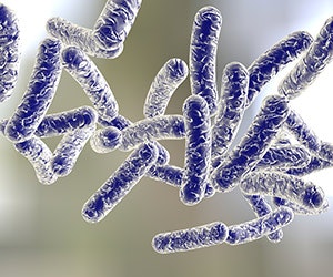 1652313142112 B 0616 News Bacteria