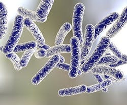 1652313142112 B 0616 News Bacteria 1652313142112 B 0616 News Bacteria