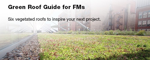 1652313143804 Rr 0601 Leadstory Greenroof