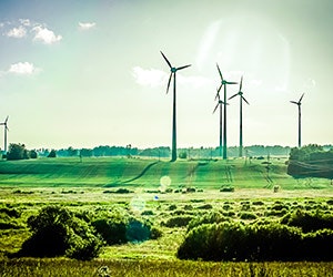 1652313190536 B 0416 News Wind