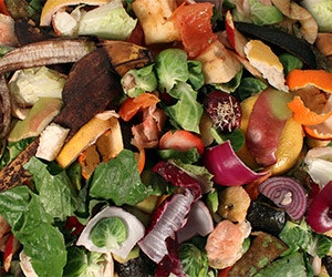 1652313276700 Shutterstock 124993205