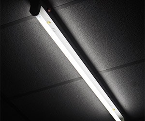 1652313279446 Shutterstock 144652775