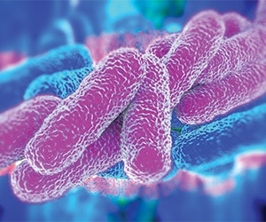 1652313308521 Shutterstock 202698757