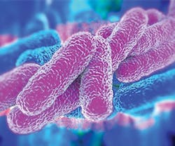 1652313308521 Shutterstock 202698757 1652313308521 Shutterstock 202698757