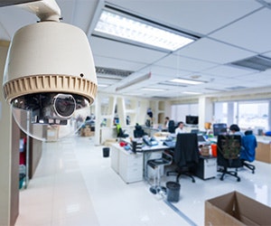 1652313330361 Shutterstock 214426324