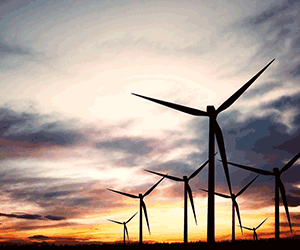 1652313543090 B 1015 News Wind