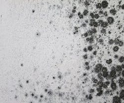 1652313545665 B 1015 News Mold 1652313545665 B 1015 News Mold