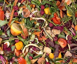 1652313652513 B 0815 Newsfeed Compost 1652313652513 B 0815 Newsfeed Compost