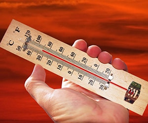 1652313685975 B 0815 Newsfeed Temp