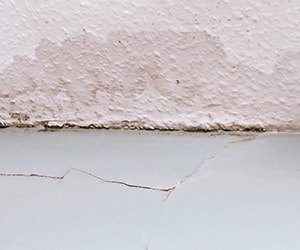 1652313705357 B 0815 Newsfeed Crack