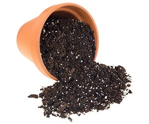 1652313764487 Shutterstock 152763743